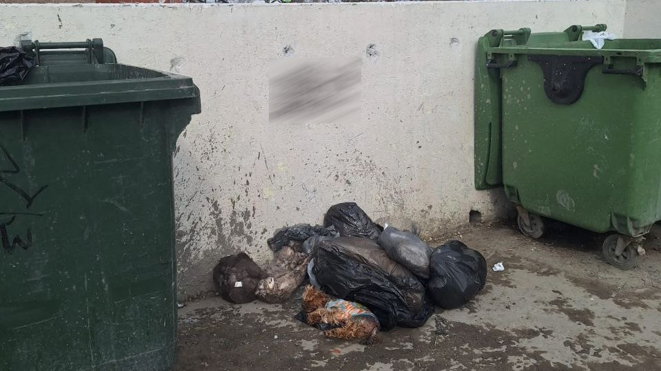 Мертвых питомцев на мусорку привезли из ветклиники Советского округа
