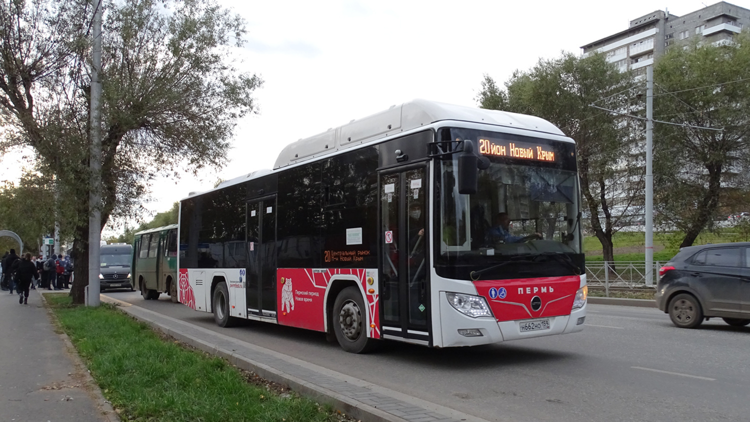 В Перми избавятся от автобусов Lotos на загруженных маршрутах — из-за их малых размеров жаловались пассажиры