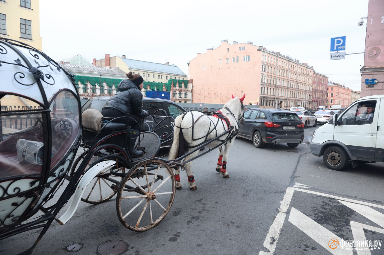 Чисто петербургская пробка