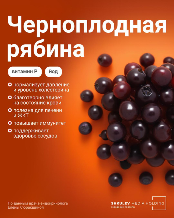 Если хотите запастись витамином С, черноплодная рябина вам в помощь