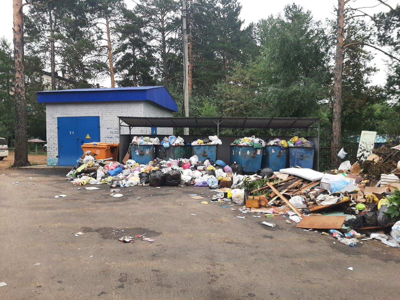 Жители Читы пожаловались на переполненные контейнеры с мусором