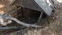 «Его затоптали скотом»: под Волгоградом разрушили уникальный родник в природном парке