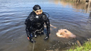 В Новосибирской области водолазы достали из реки тело мужчины — он считался пропавшим