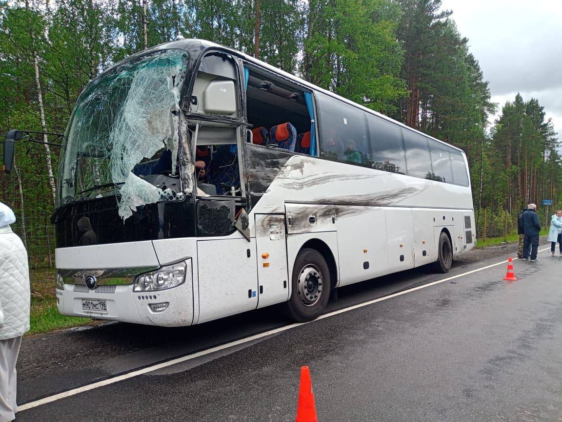 Таранил грузовик, тот задел автобус. Водитель легковушки погиб в страшном  ДТП на Коле | 03.06.2023 | Санкт-Петербург - БезФормата