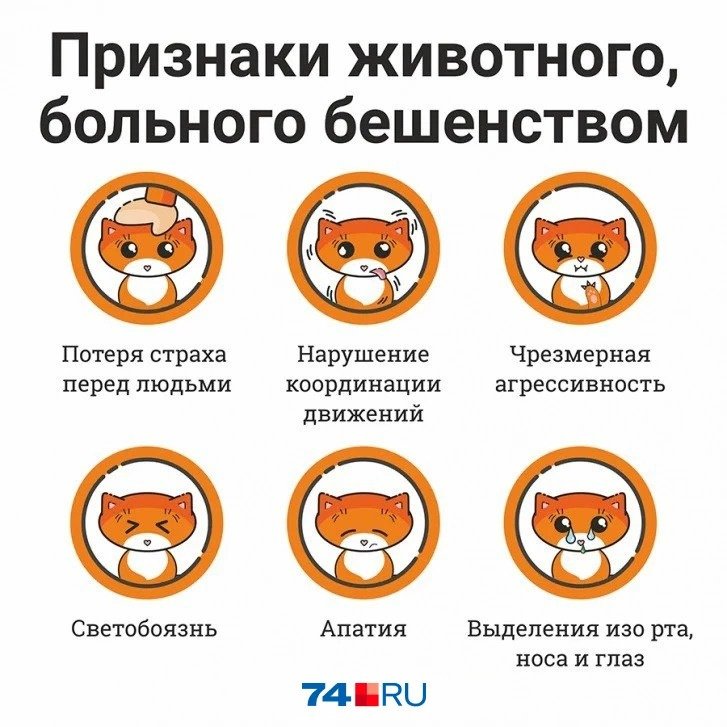 Россельхознадзор южноуральск