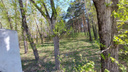 В Первомайском парке выставили на продажу земельный участок за 49,6 миллиона рублей