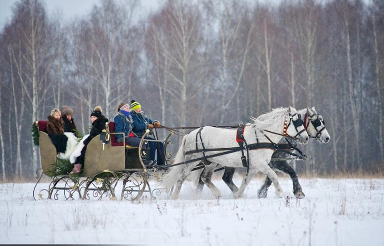 Конно санный тур снежный крака