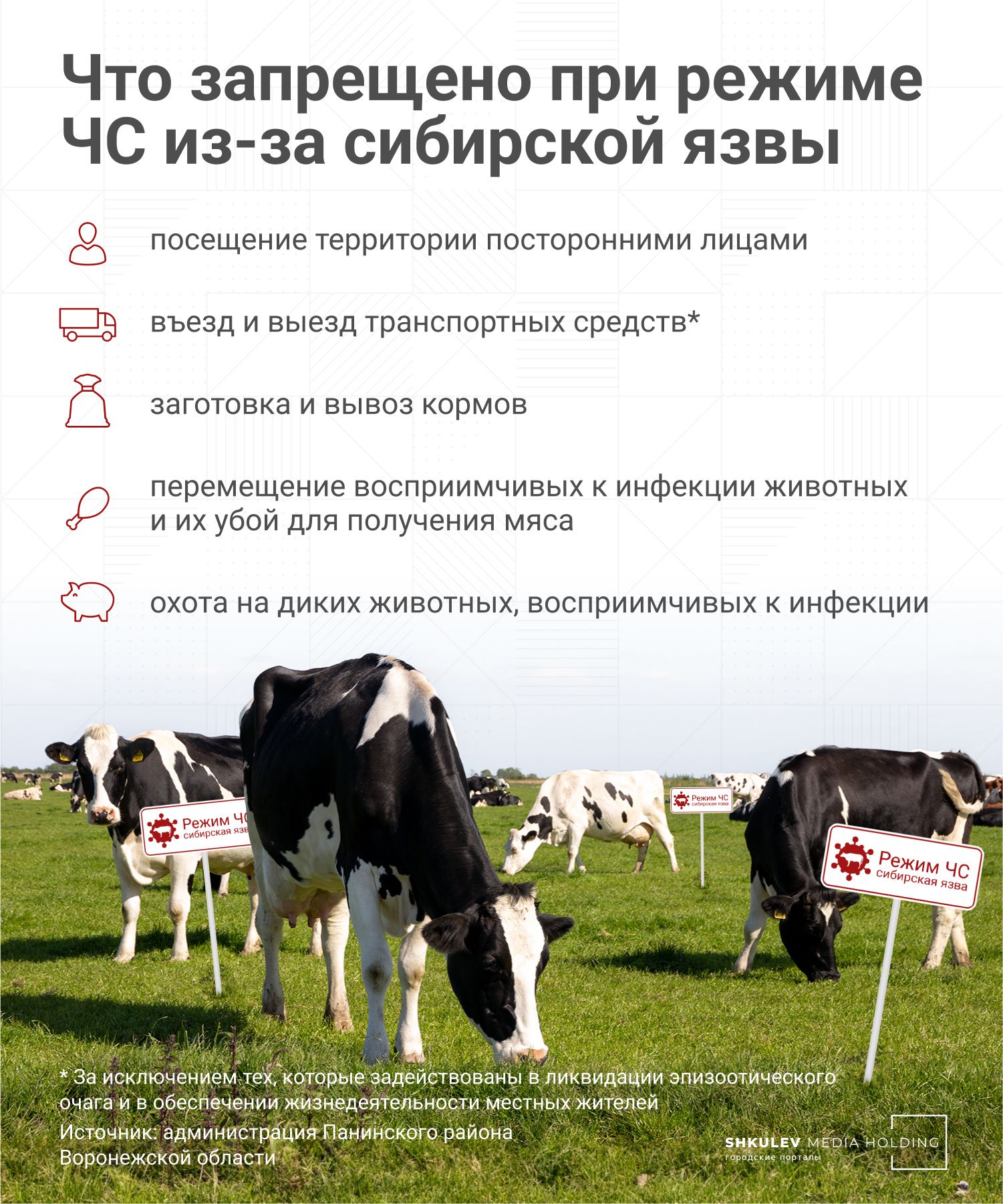 В России всё чаще стали находить сибирскую язву. Нам всем грозит пандемия?  | 22.08.2023 | Ярославль - БезФормата