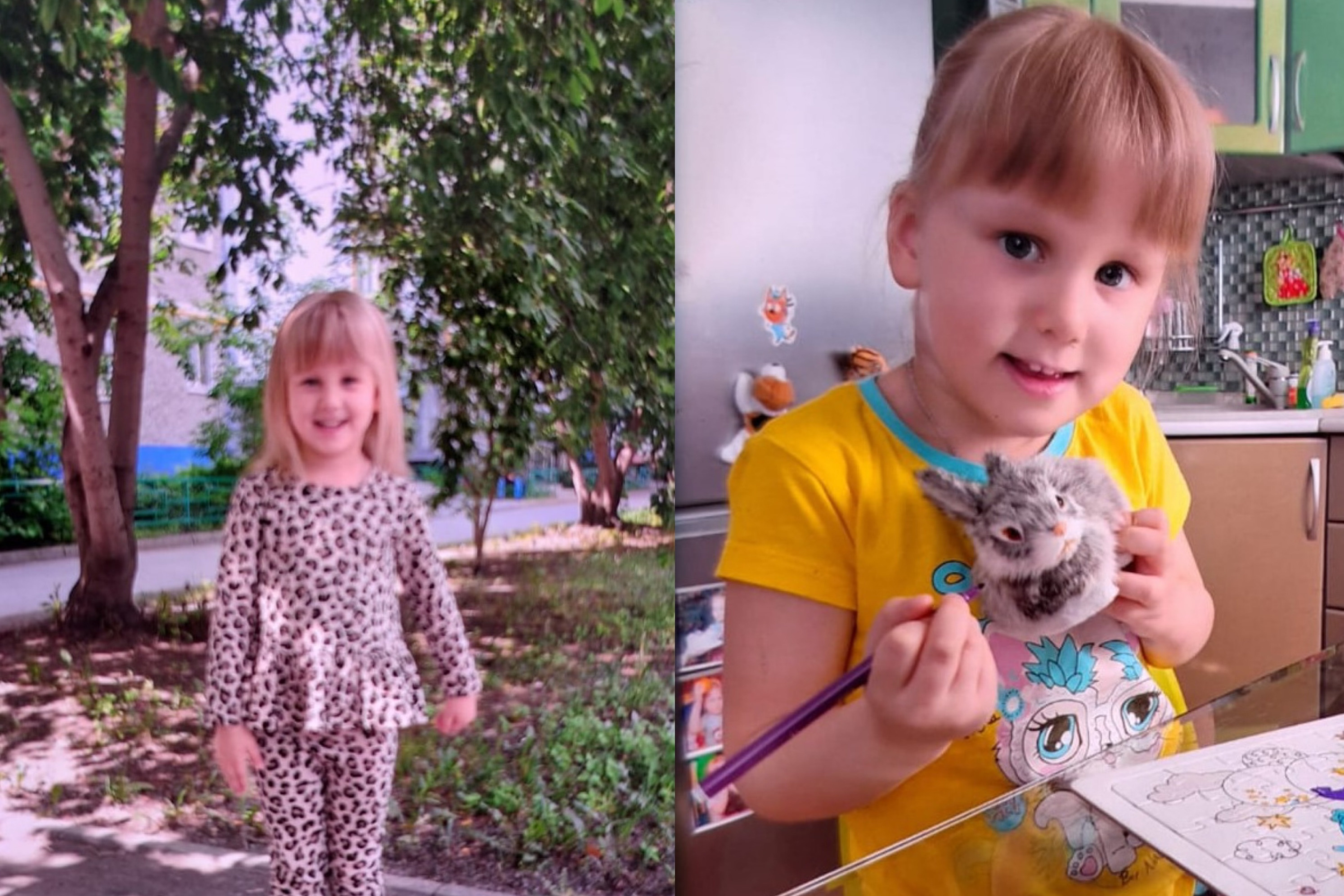 В Екатеринбурге ищут пятилетнюю девочку, которую год назад похитили у матери