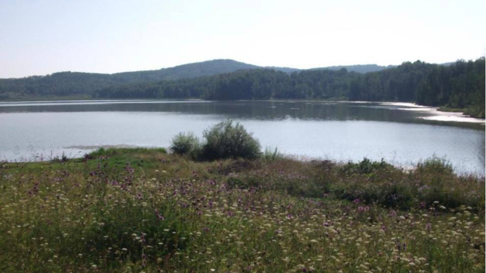Суд велел отобрать озеро на юге края у застройщика. Местные власти сдали ему водоем незаконно