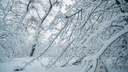 Штормовое предупреждение: снегопад и туман накроют Ростовскую область