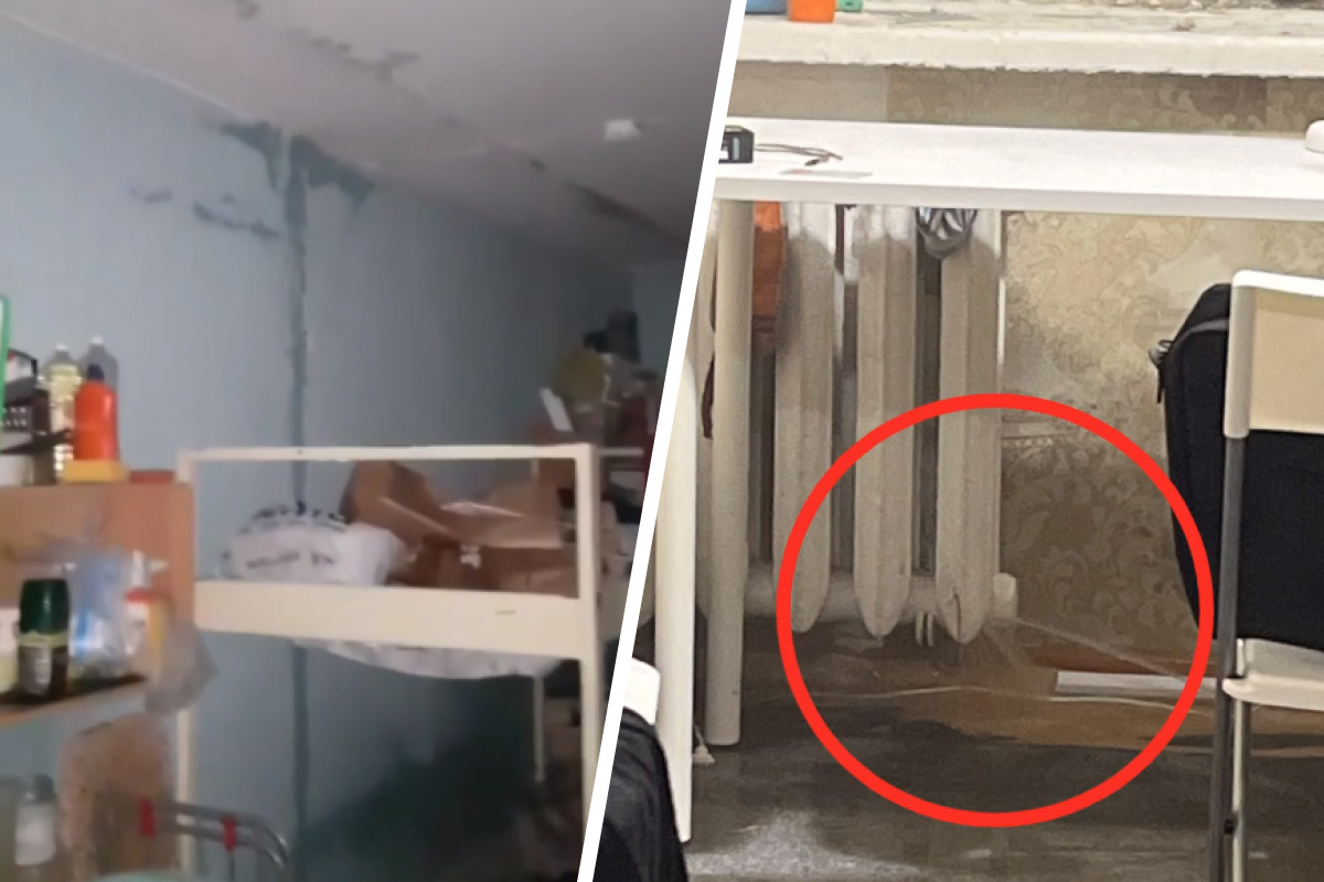 «Искали место, чтобы переночевать»: в общежитии новосибирского института произошел потоп — видео последствий
