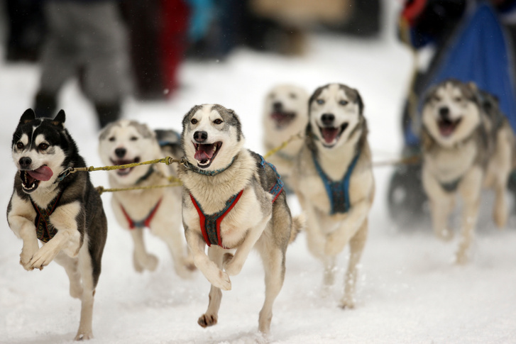 Фото в нижнем билье исакиевский собор. Интересное в выходные в спб. Выходные в питере с детьми. Достопримечательности санкт-петербурга. Классные места в питере для молодежи.
