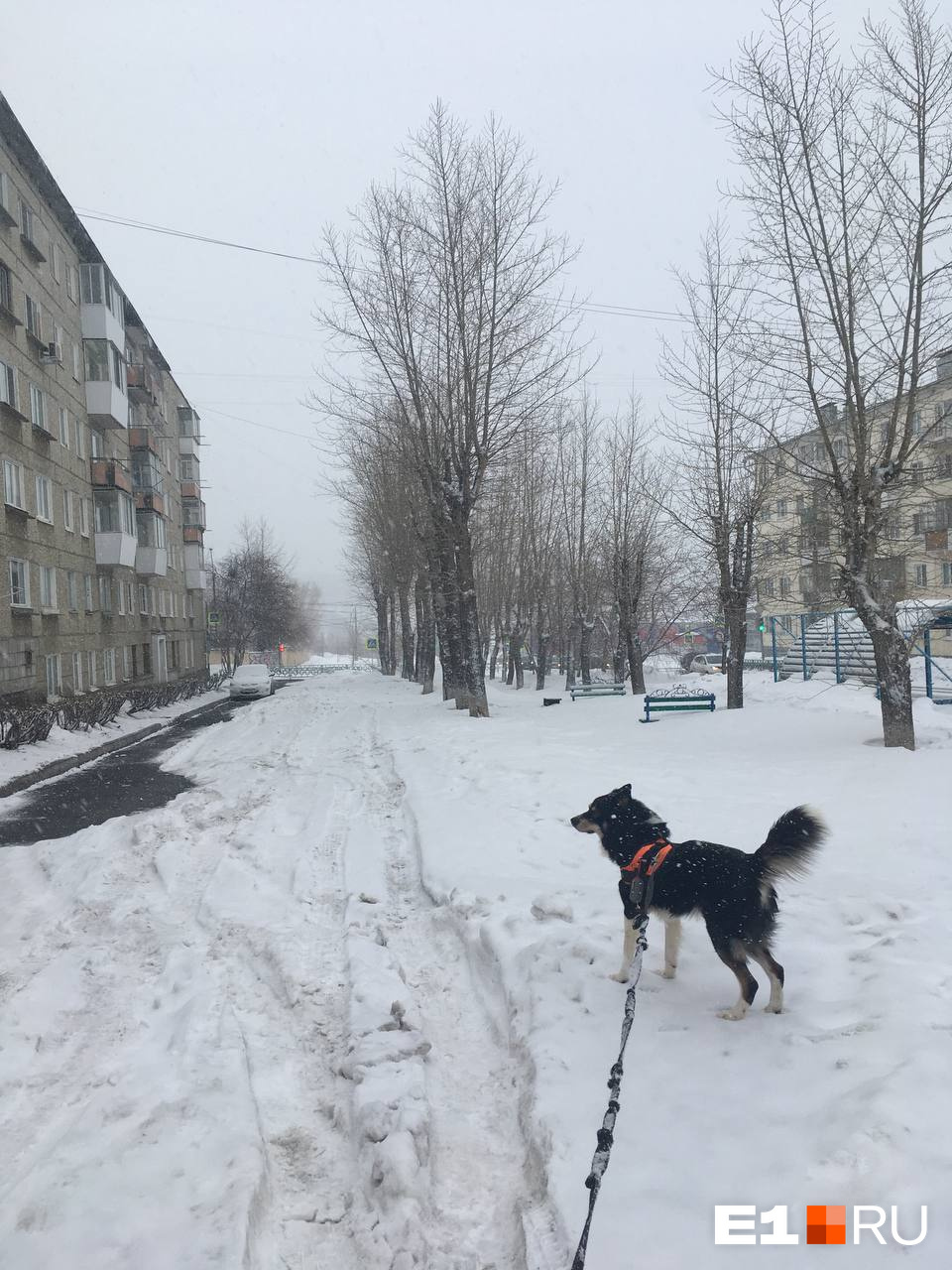 Свердловскую область накрыл мощный весенний снегопад: видео