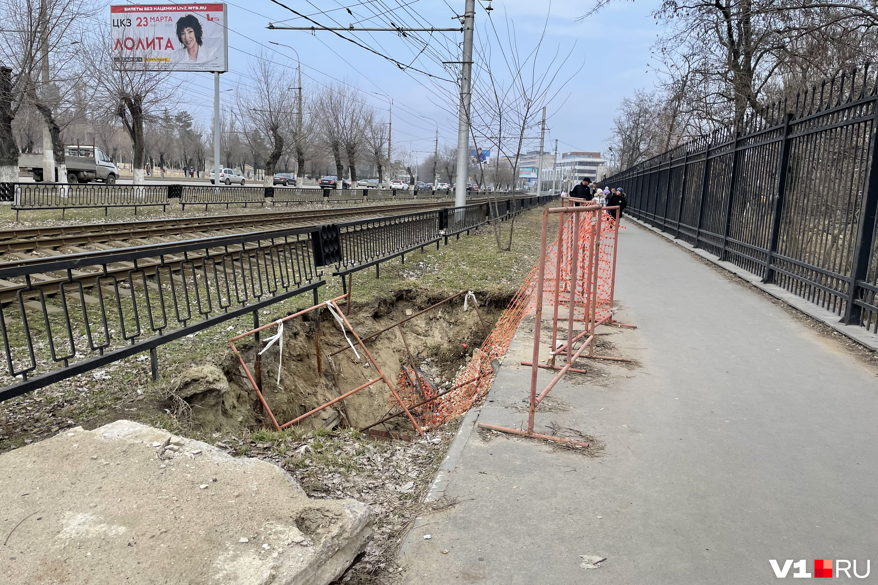 Кот в капюшоне картинки
