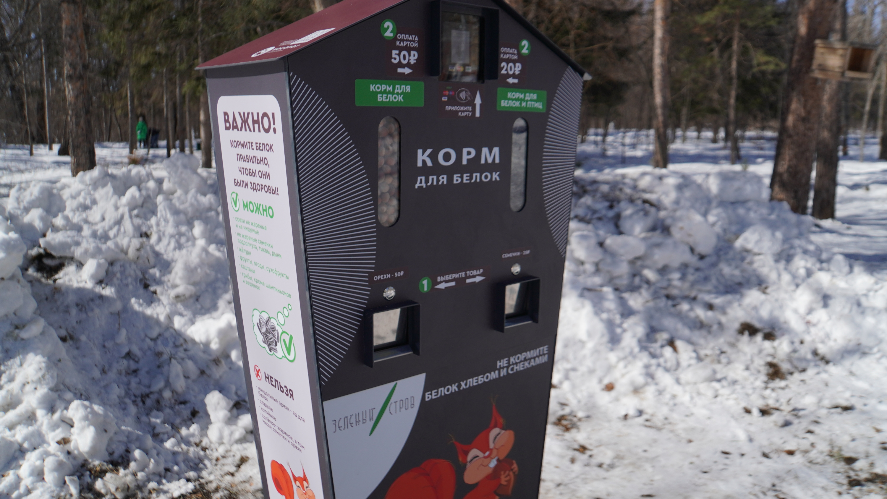 В омском парке «Зеленый остров» установили автоматы с кормом для белок