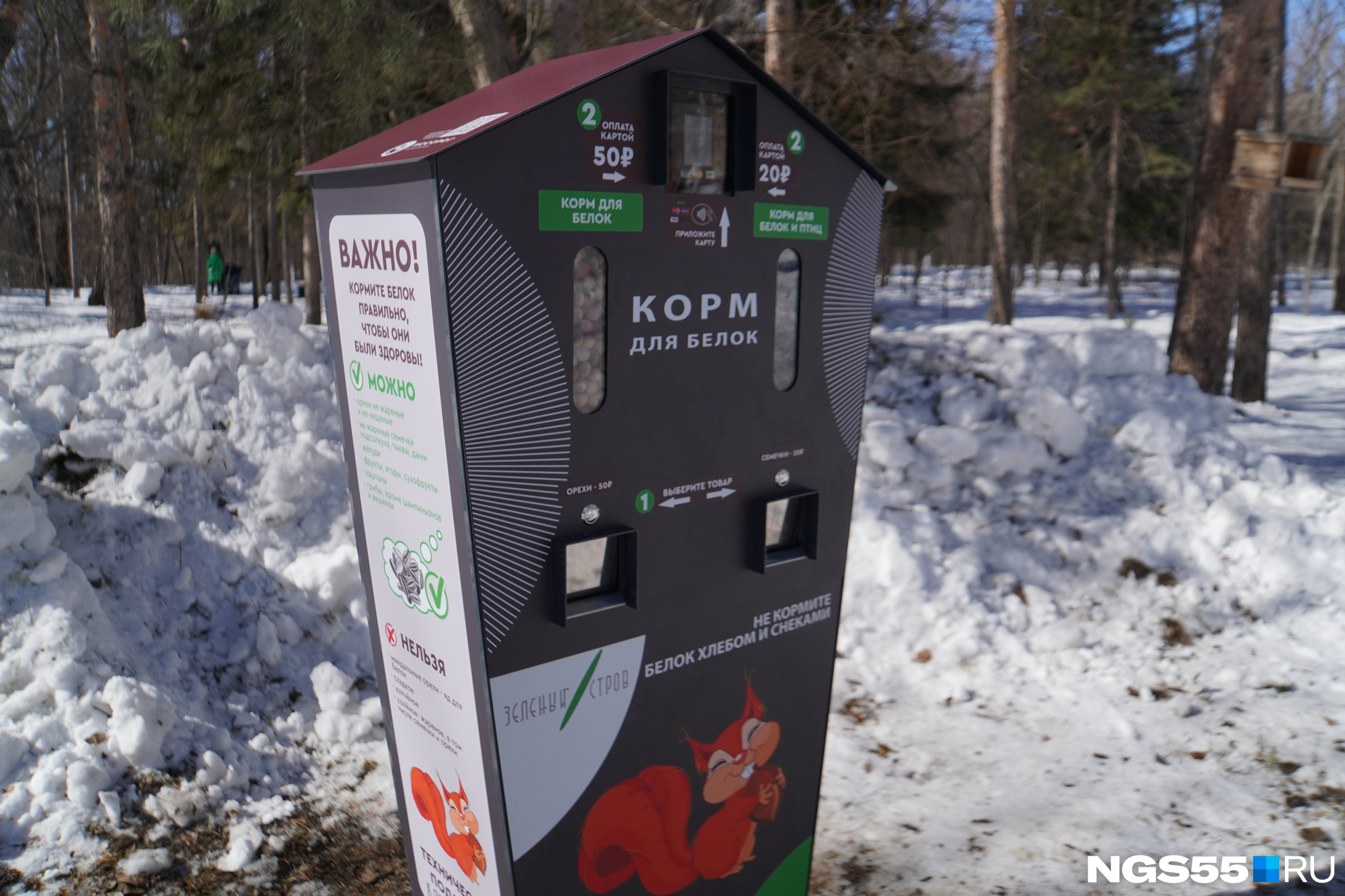 В омском парке «Зелёный остров» установили автоматы с кормом для белок
