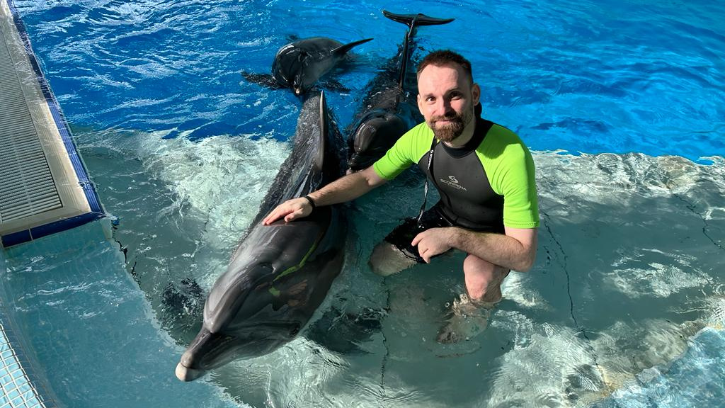Новосибирским дельфинам потребовался врач из другого региона: оказалось, что их ждет пополнение