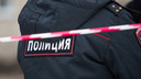 Источник: 26 ростовских полицейских дают показания по делу ОПГ