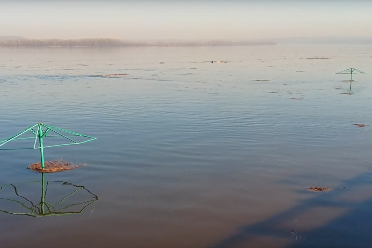 Вода в волге ульяновск