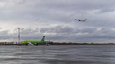Пять пассажиров рейса Новосибирск — Москва не попали на самолёт: S7 оштрафовали за овербукинг