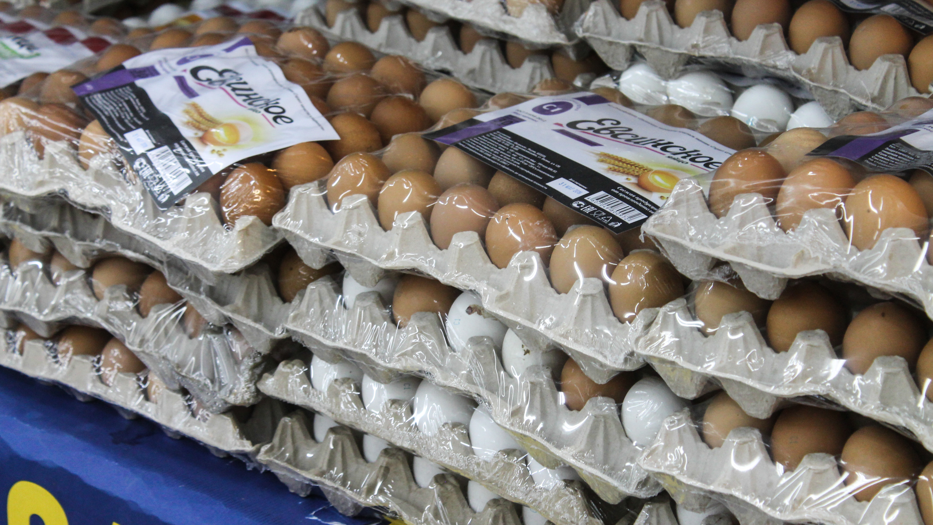 «Надо поднять повыше, чтобы потом чуть-чуть опустить?!»: что происходит с яйцами — ищем самые низкие цены в Кемерове