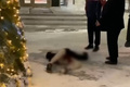 � ������������� ���������� �������, ������� ������ ����� ��������� � &laquo;��������&raquo;