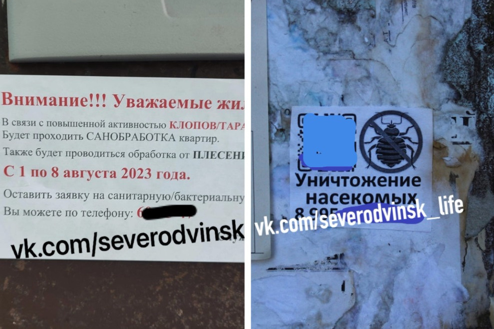 В Северодвинске летом появились и похожие объявления (но с другим городским номером), а также другие, с QR-кодом
