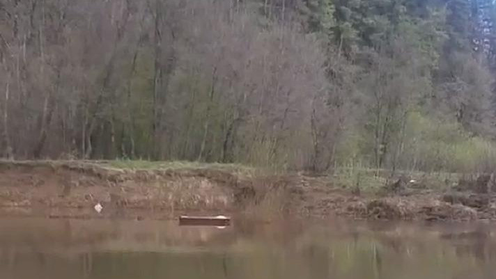 «Развеиваем слухи»: загадка плавающего гроба в реке Бабке у Кукуштана раскрыта. Рассказываем подробности!