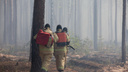 Противопожарный режим. В Тюменской области запретят ходить в лес