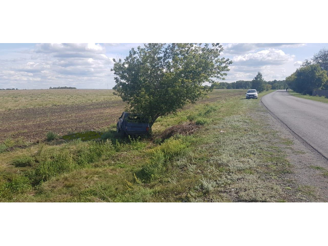 Газель в курганской области