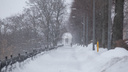 Завалит снегом: на Центральную Россию обрушился циклон «Рикса»