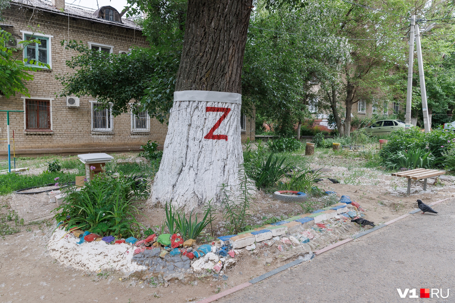 Соседка, которая кричит на детей участника СВО «убийцы и фашисты», разрисовала дерево буквой Z и клумбы в цвета российского флага