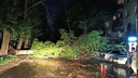 Вырвало с корнем: около Губернского рынка огромное дерево раздавило машину