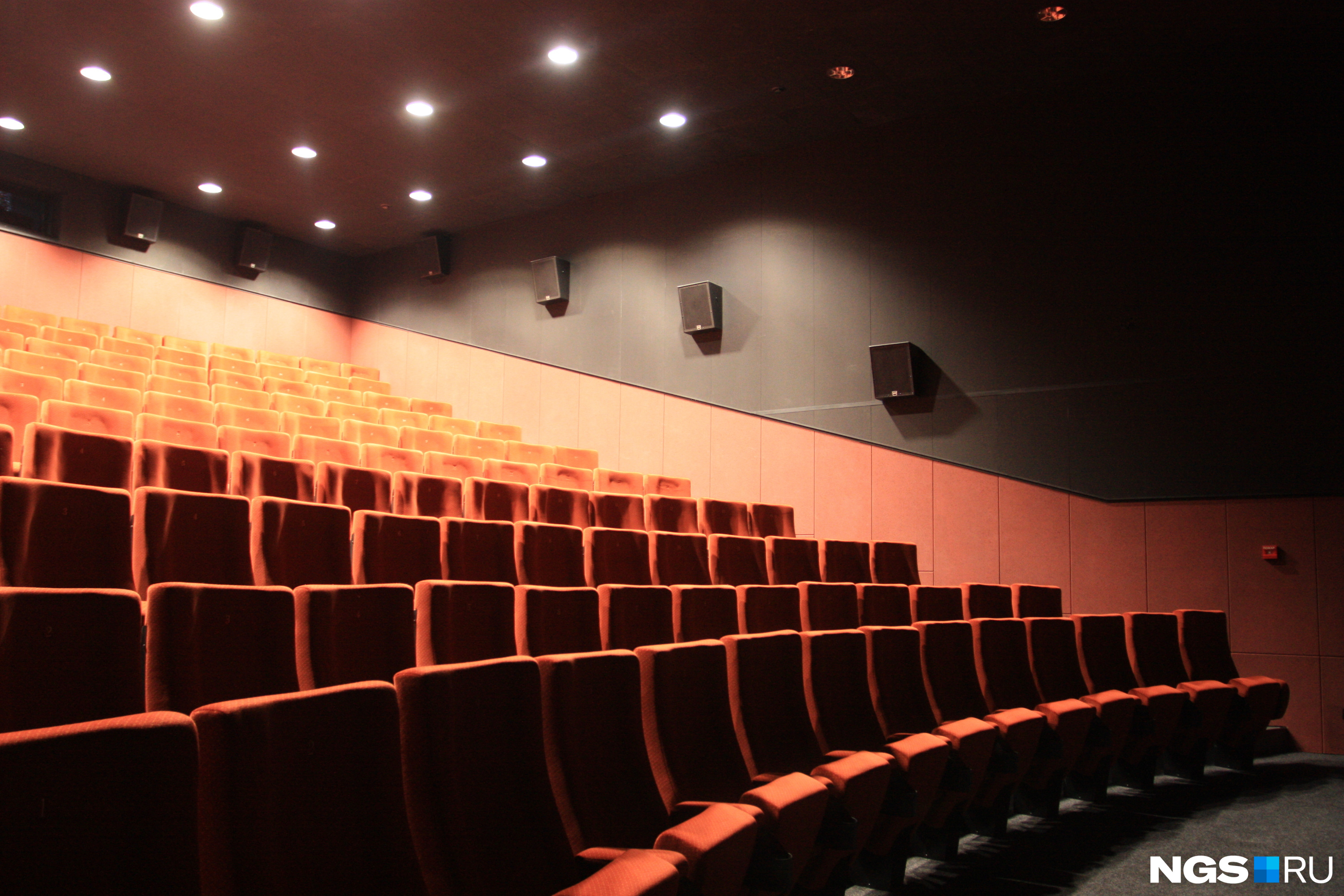 В феврале в новосибирских кинотеатрах ждут несколько премьер