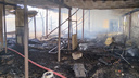 В Самарской области из-за пожара в бане погибли свиньи, индюки, куры