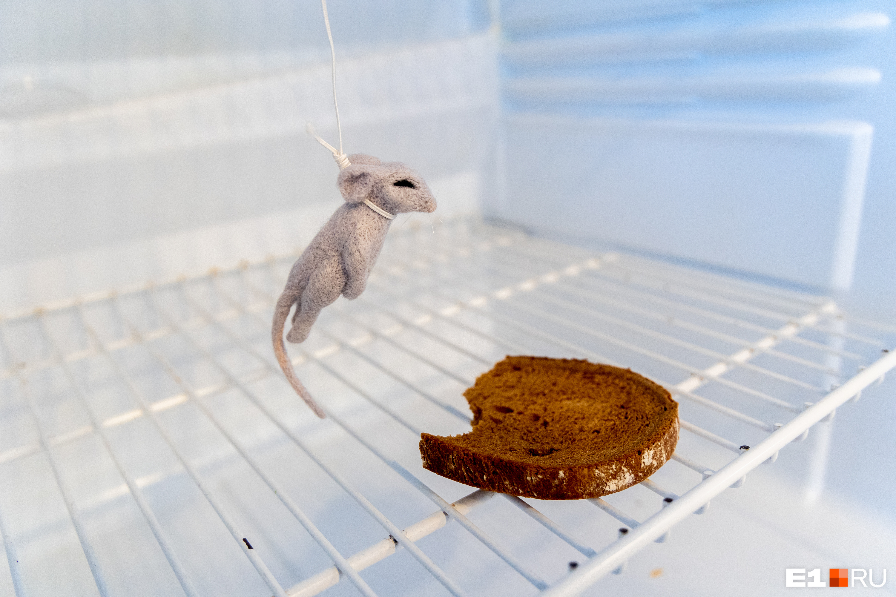 Полки ломятся от продуктов или мышь повесилась? Заглядываем в холодильники уральских пенсионеров