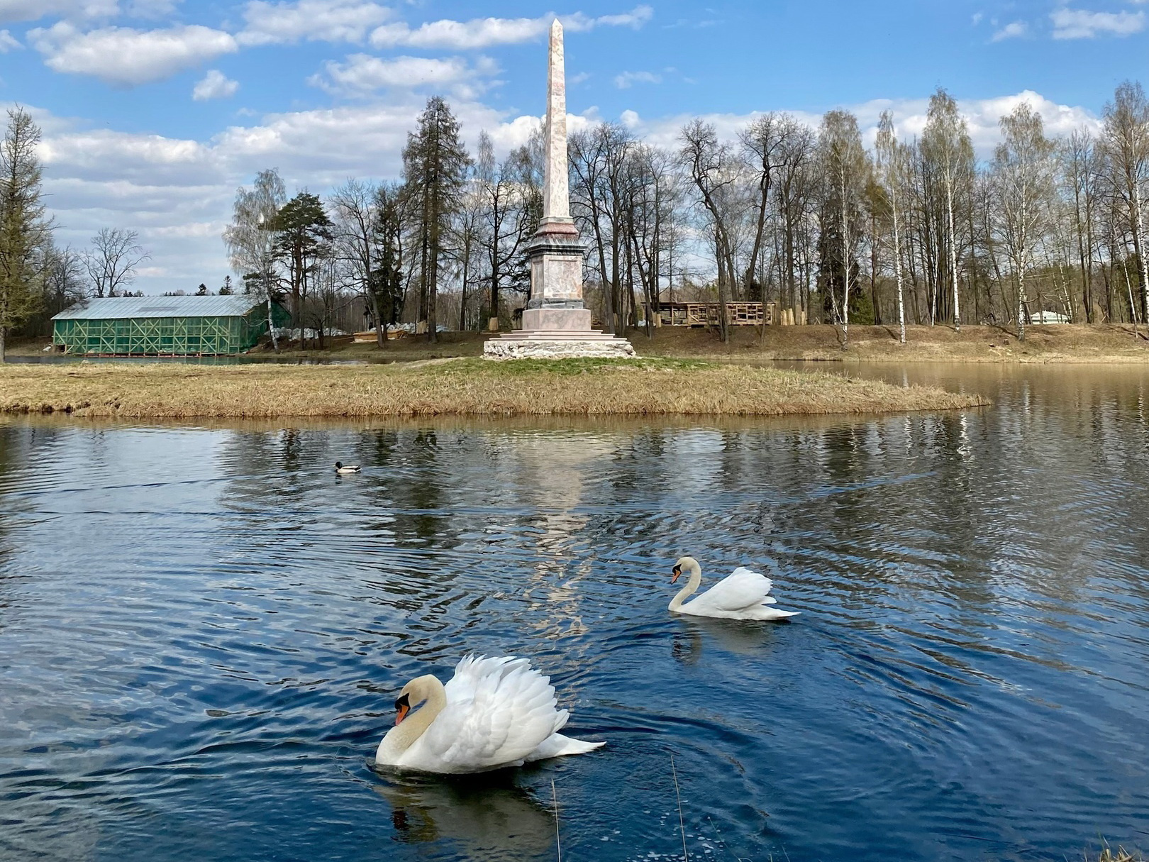 В ГМЗ «Гатчина» раскрыли тайну гибели лебедя Айседоры. Ее убила любовь |  20.06.2023 | Санкт-Петербург - БезФормата