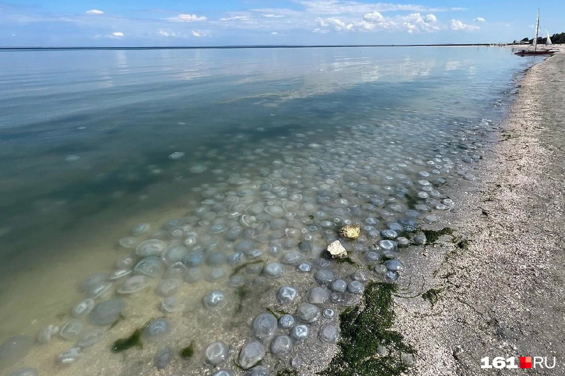 Вода в азовском море в таганроге