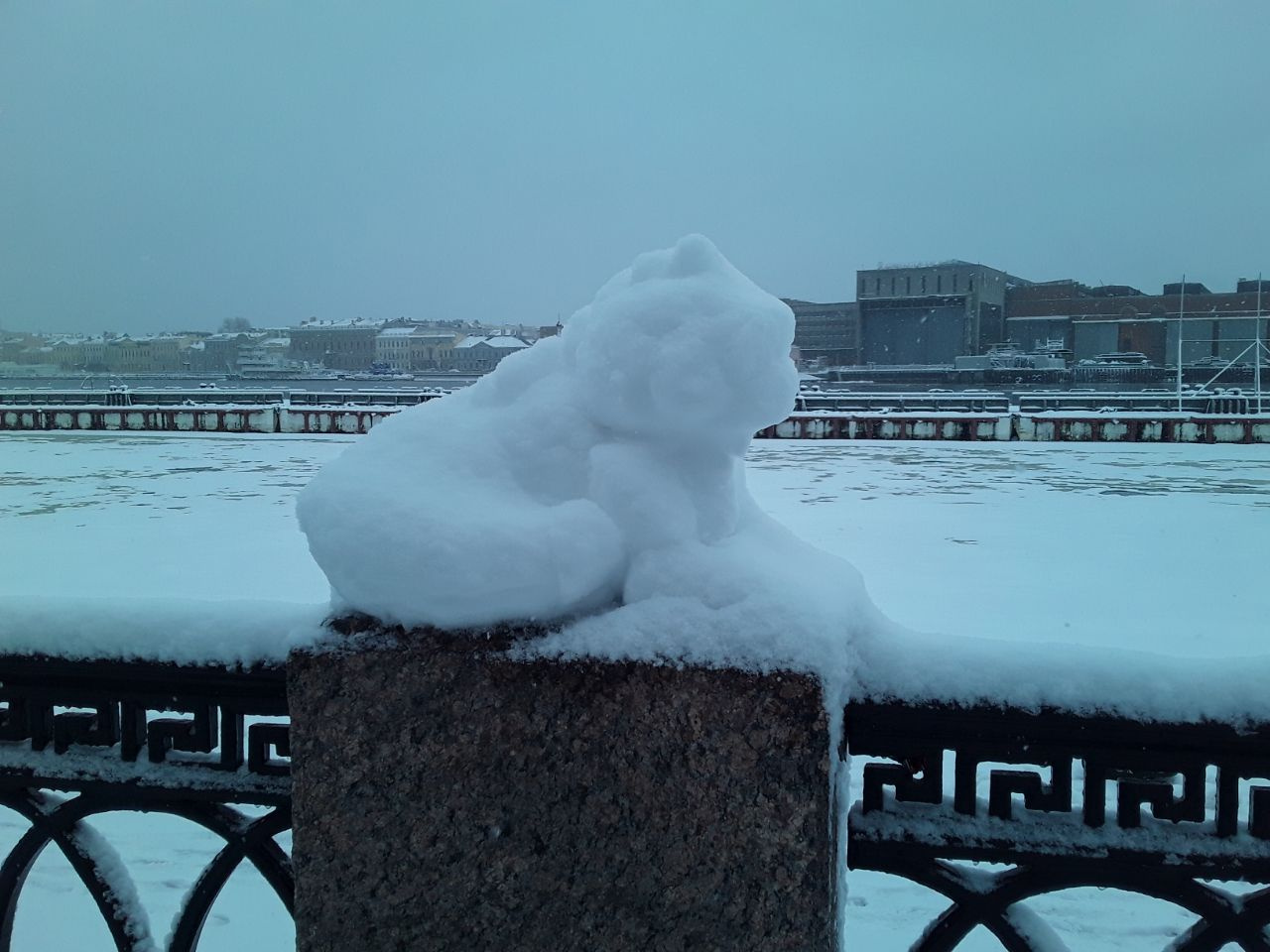 снег в санкт петербурге сегодня