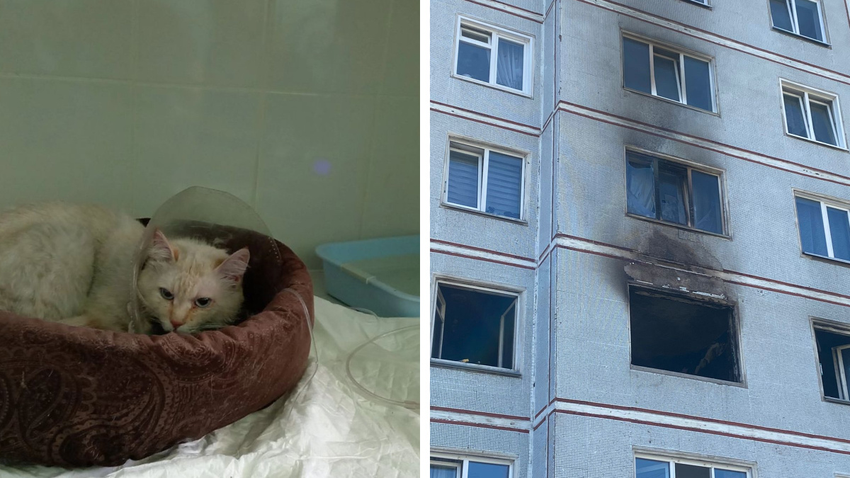 «Кота откачивали пожарные»: квартира вспыхнула в доме на ОбьГЭСе — видео с места пожара
