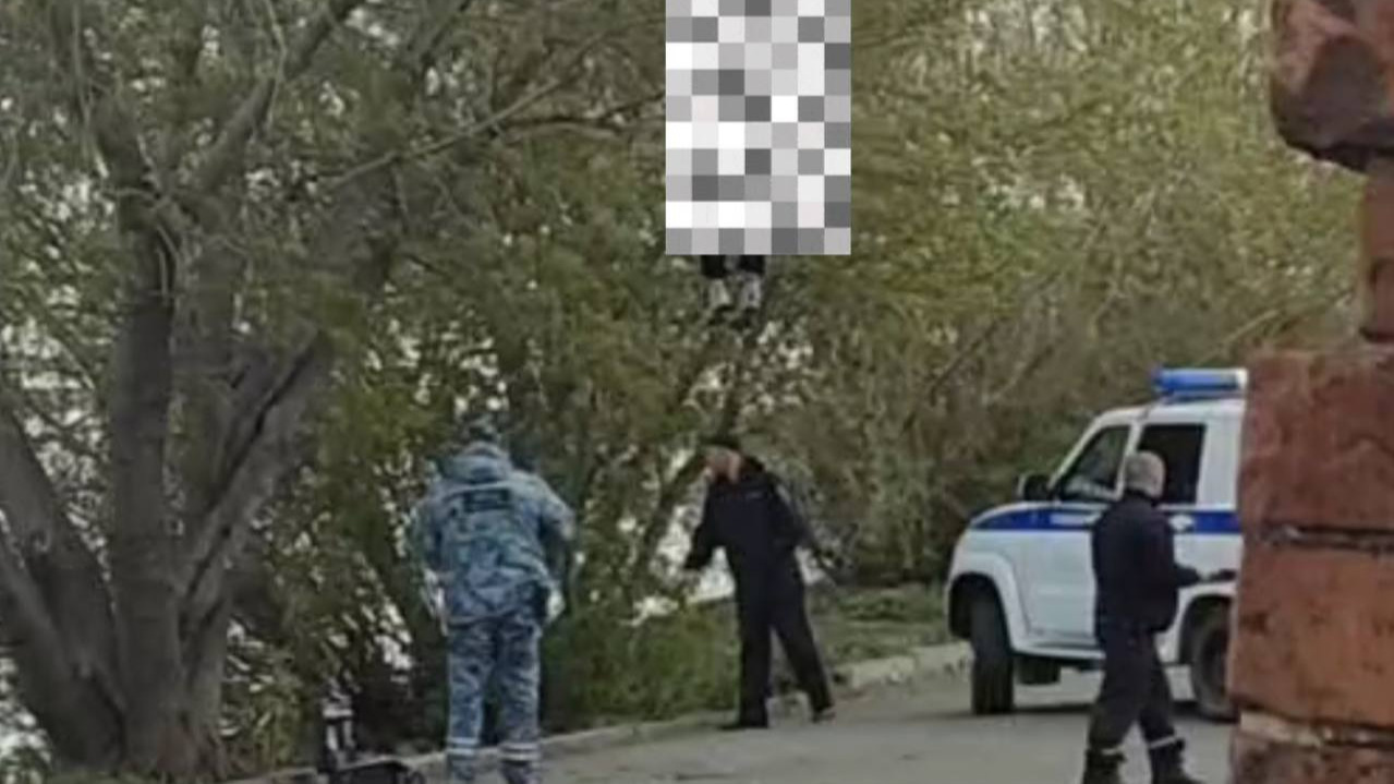 Рядом с администрацией Томской области нашли повешенного парня