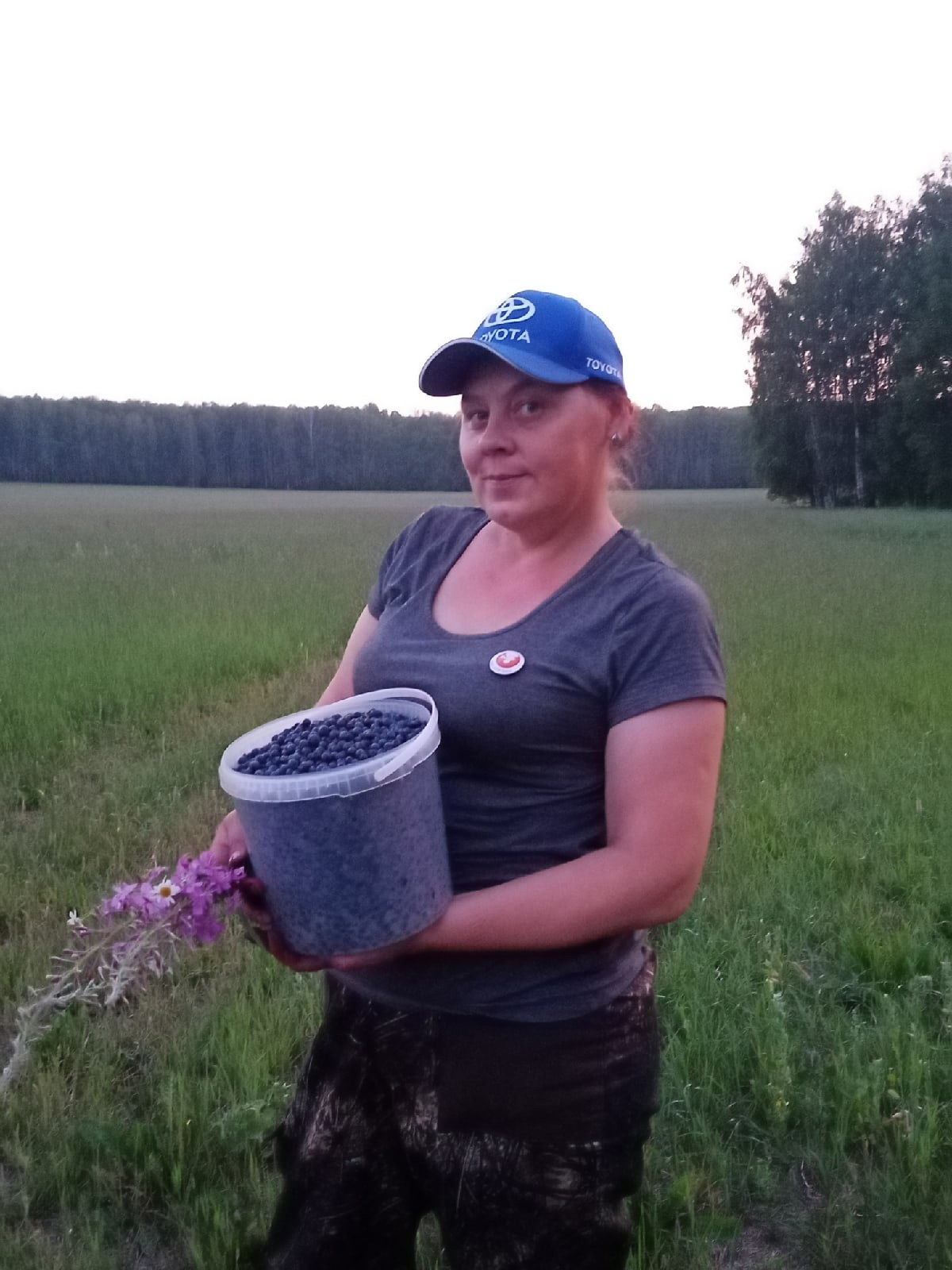 Под Первоуральском черника удалась. А вот в других районах ее мало. И она мелкая