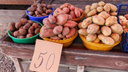 «60 рублей за кило! Вы сдурели?»: почему в Самарской области взлетели цены на картошку