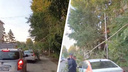 Дерево рухнуло на автомобиль вблизи улицы Титова — видео