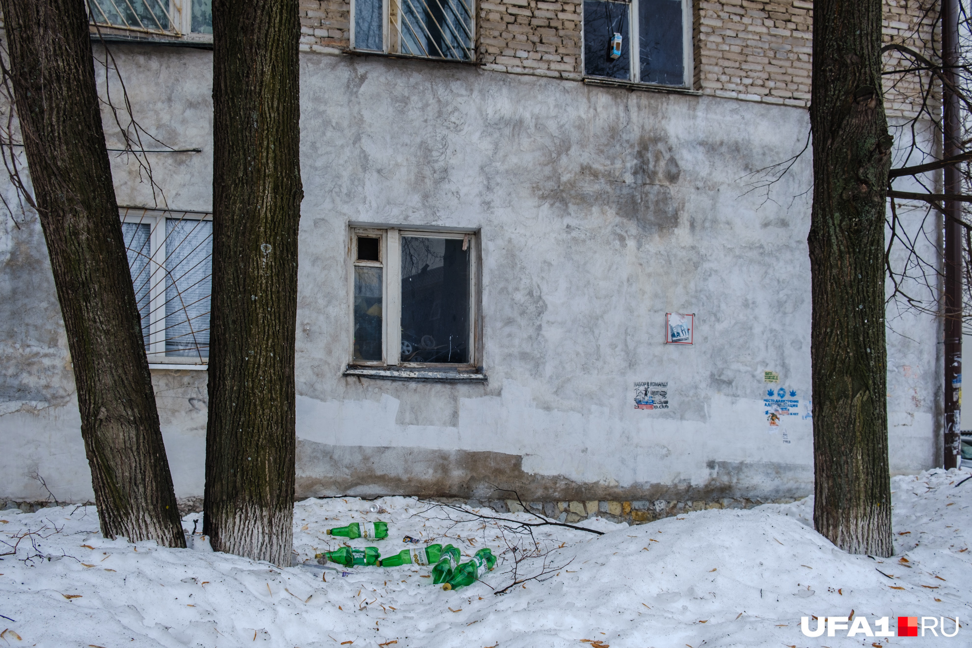 Возможно, эти бутылки лежат здесь с самого Нового Года