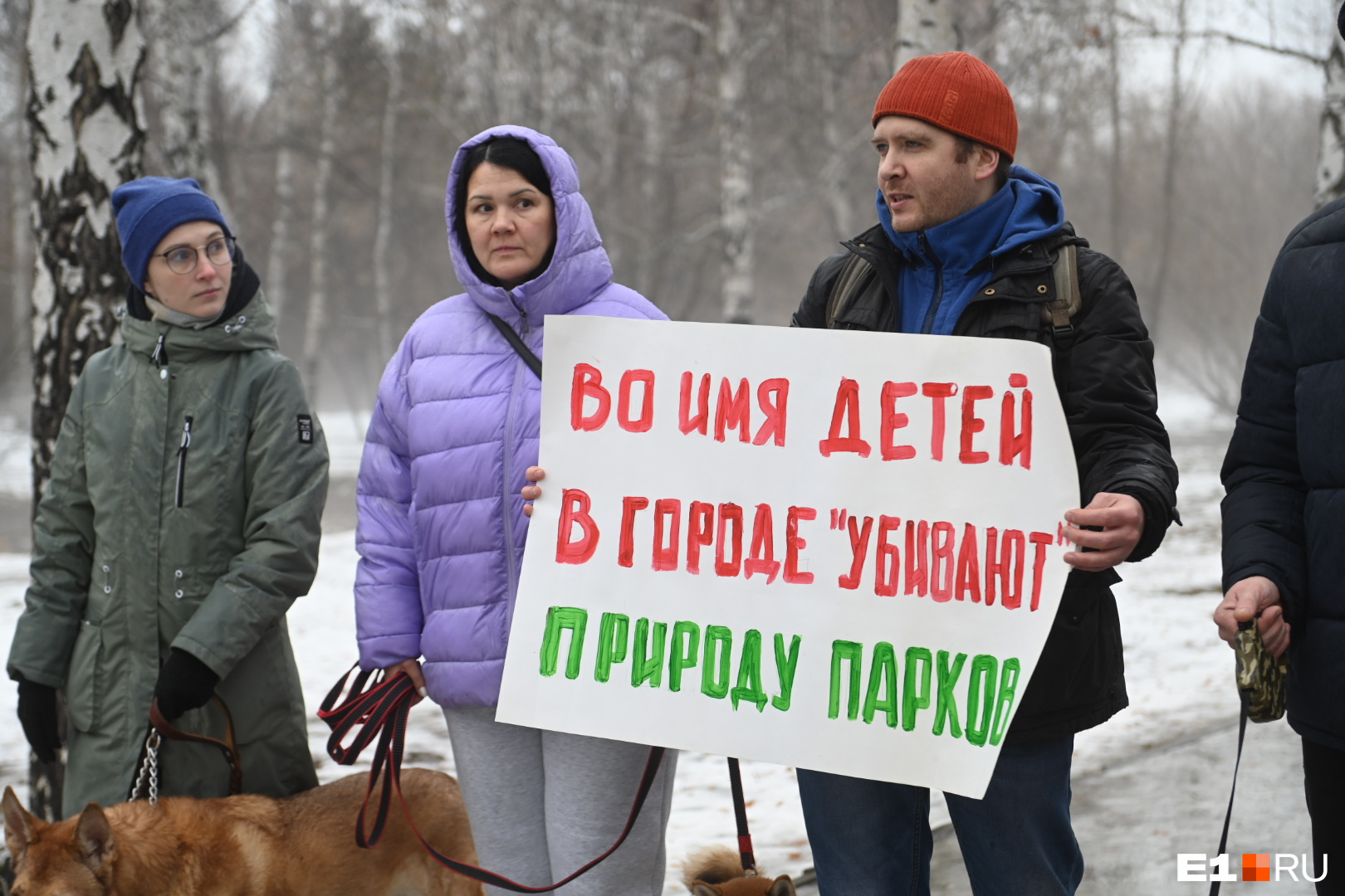 «Не за наш счет!» Жители Екатеринбурга (и их собаки) взбунтовались против застройки парка на Юго-Западе