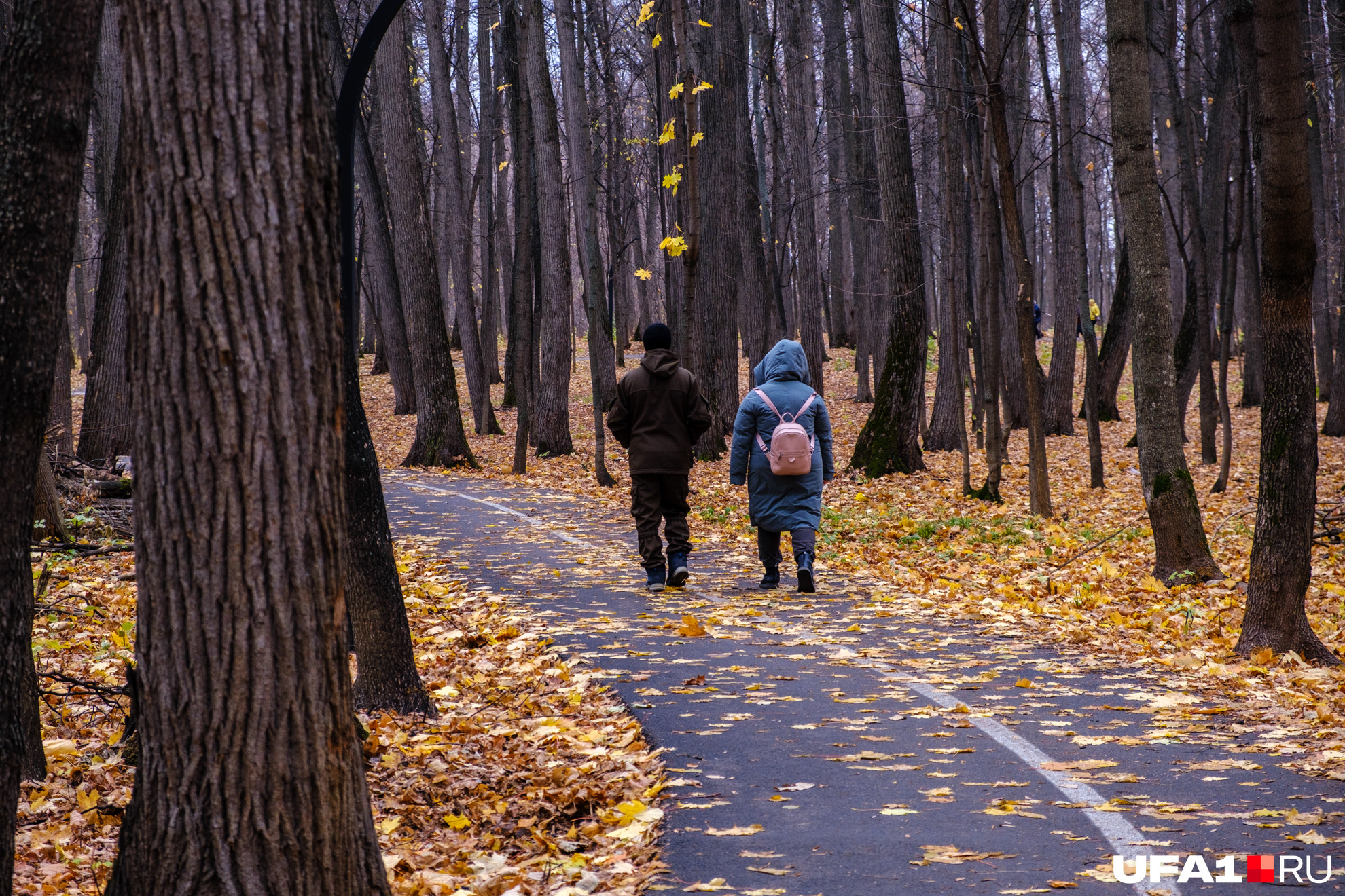 Но пешеходов это мало волнует