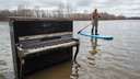 Взяли доску и поплыли среди деревьев: в Новосибирске затопило парк сапсерфинга — фоторепортаж в стиле деда Мазая