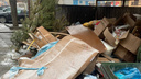 В администрации Ростова создали рабочую группу по борьбе с мусором